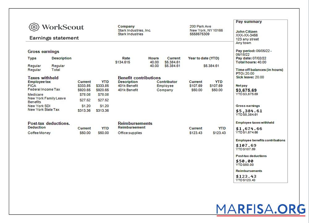 Printable USA IT technologies company earning statement in format download for verification